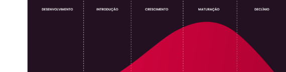 ciclo-de-vida-do-produto